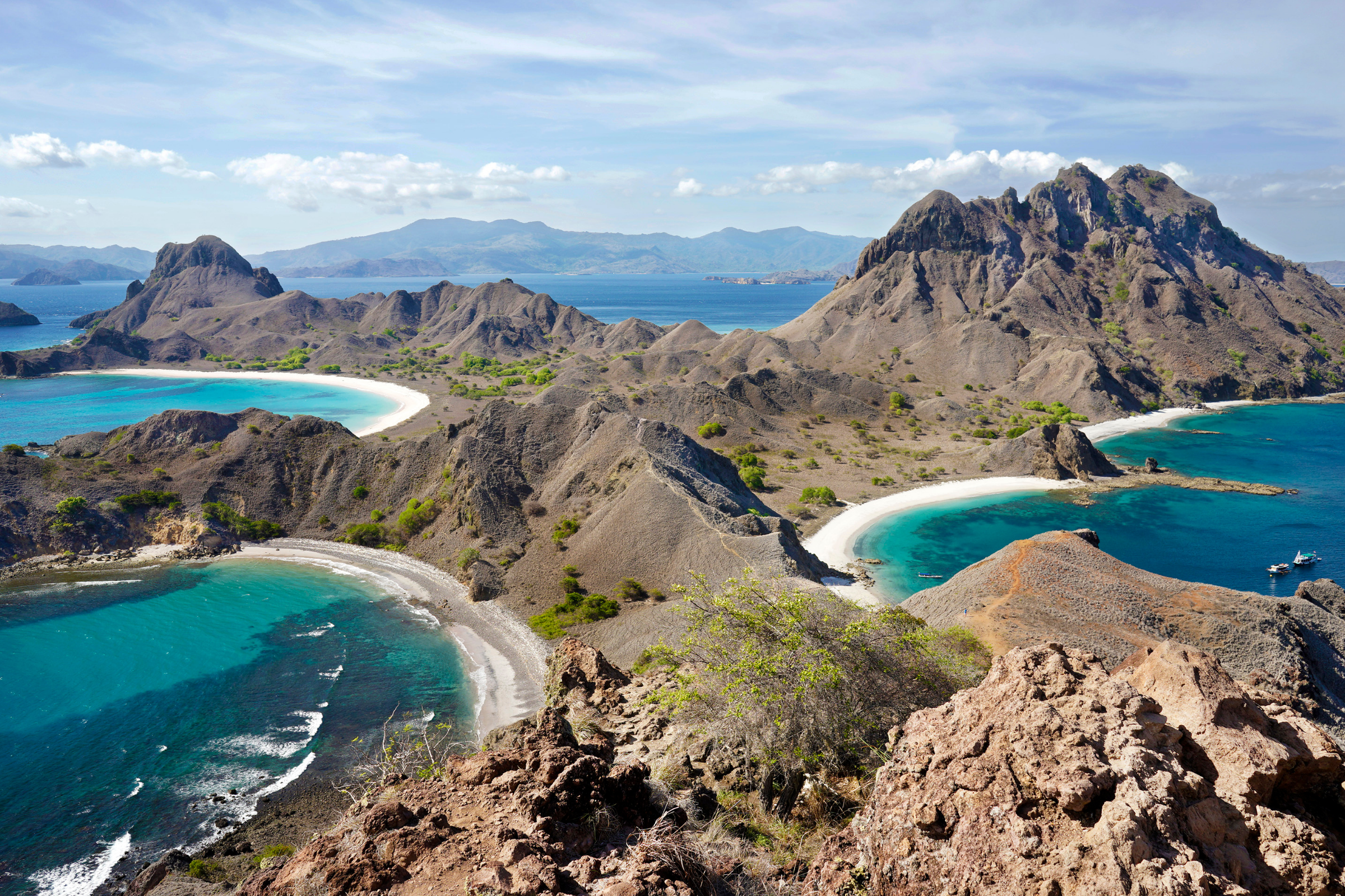 14 flores island.webp